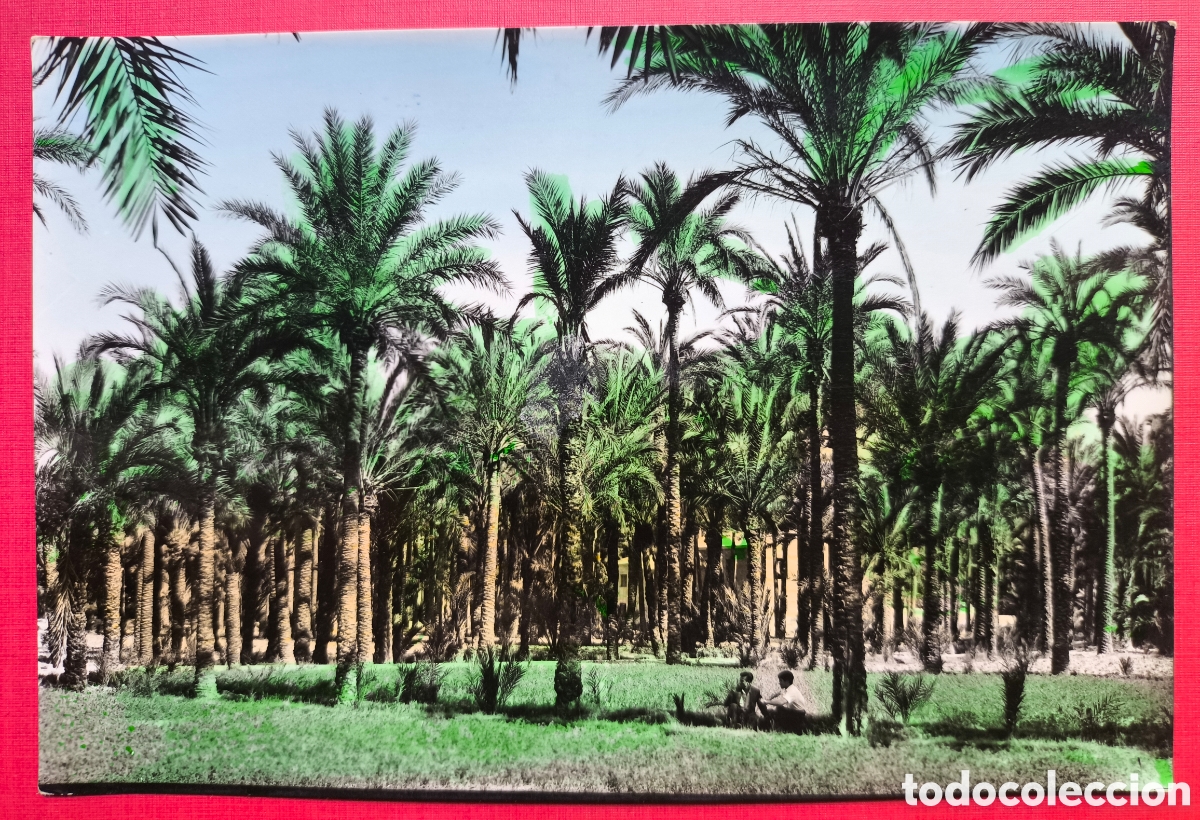 Postales: ORIOLA POSTAL FOTOGR&Aacute;FICA COLOREADA ORIHUELA ALACANT C. 1960