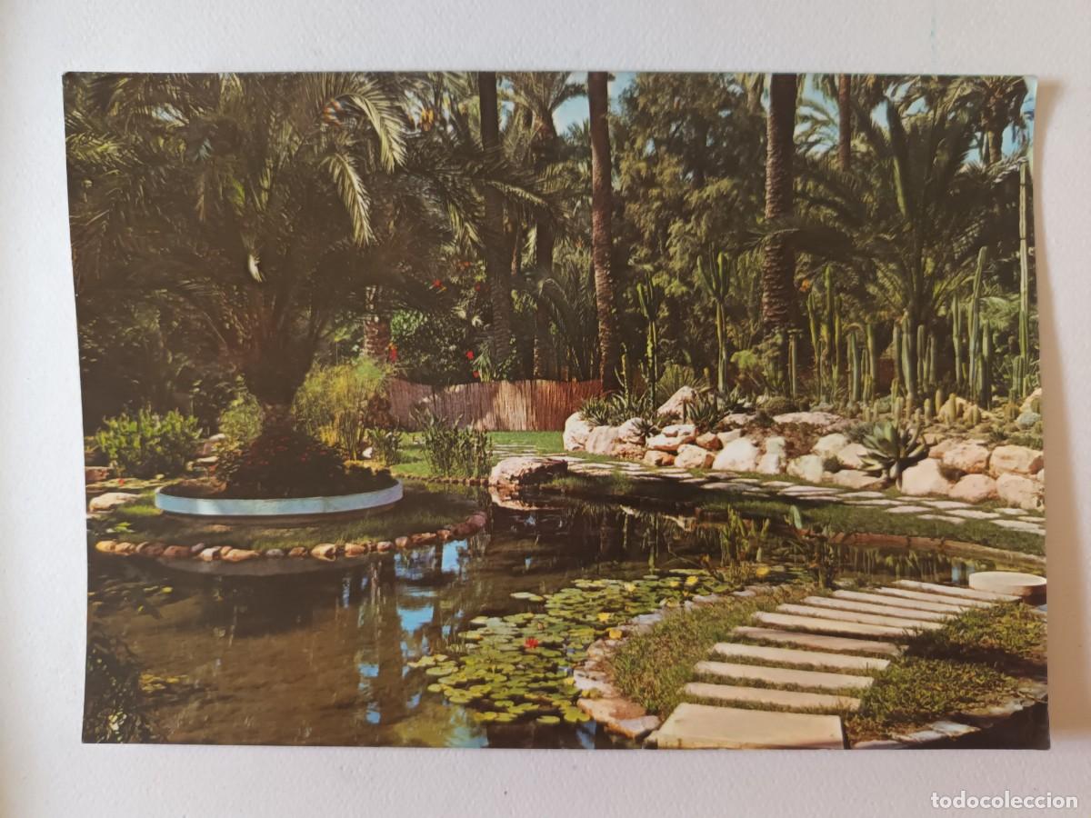 Postales: ELCHE (ALICANTE). HUERTO DEL CURA.LAGO DE ROCALLA. DETALLE (1968) - FRANQUEO