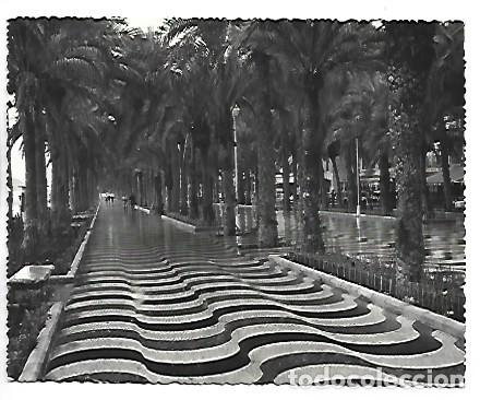 Postales: EXPLANADA DE ESPA&Ntilde;A.- ALICANTE