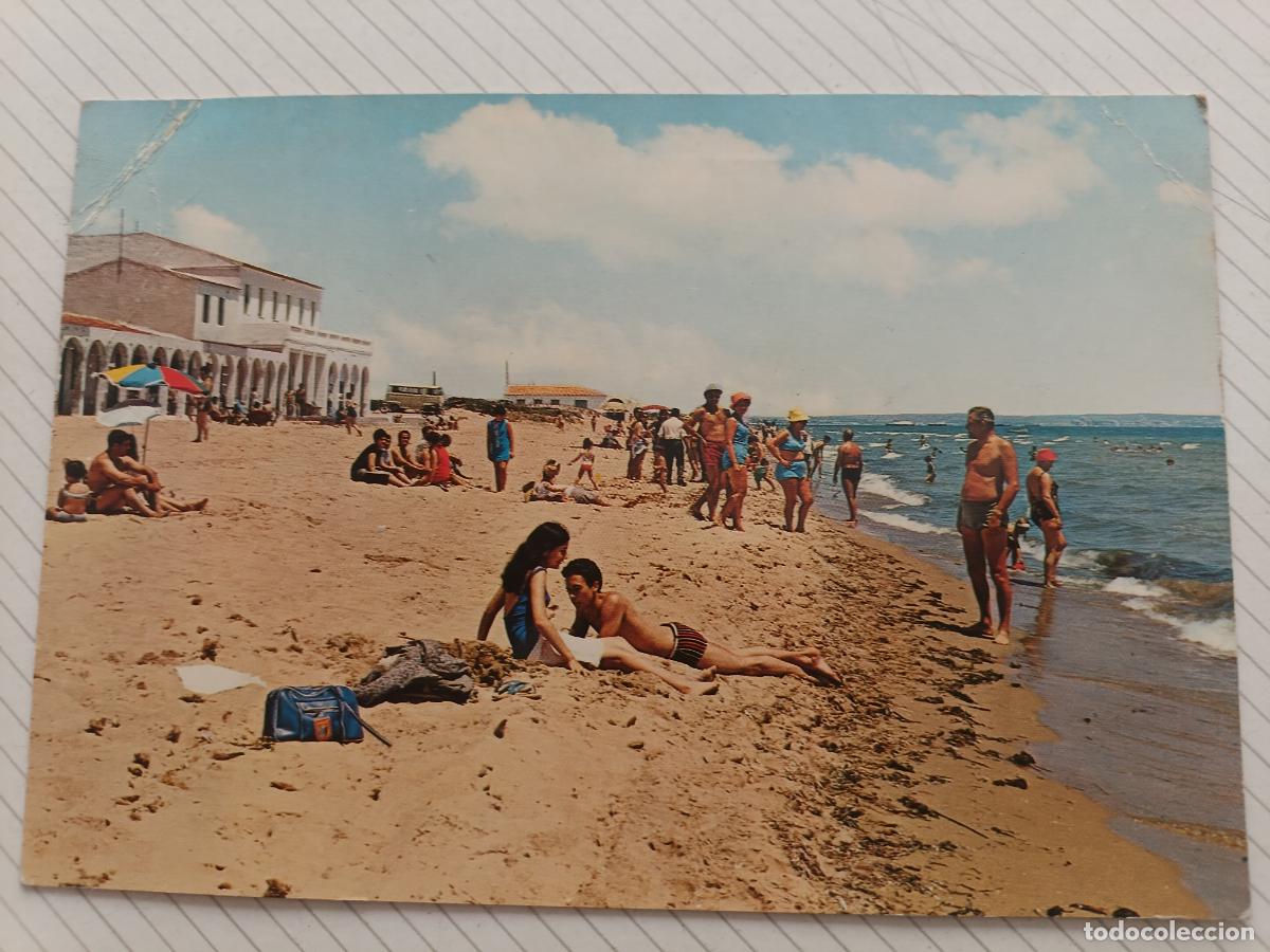 Postales: Elche, plata del Pinet, Alicante, postal no usada