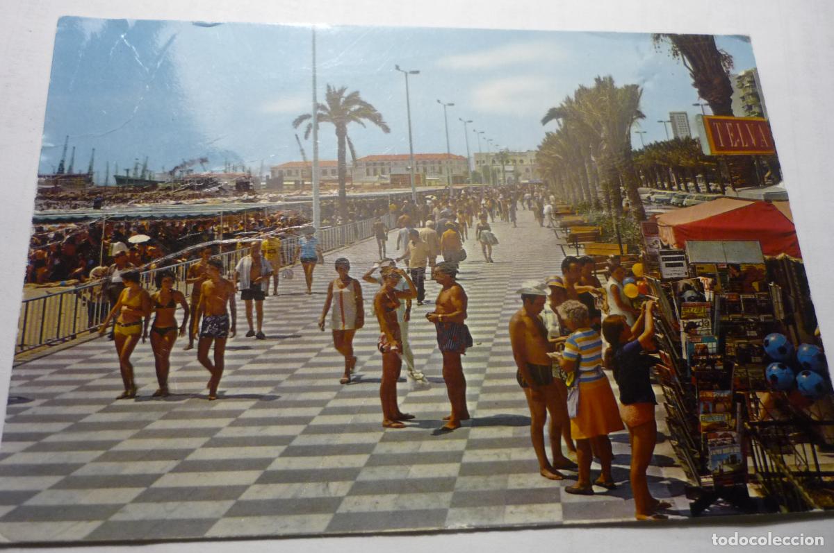 Postales: postal alicante paseo gomis circulada
