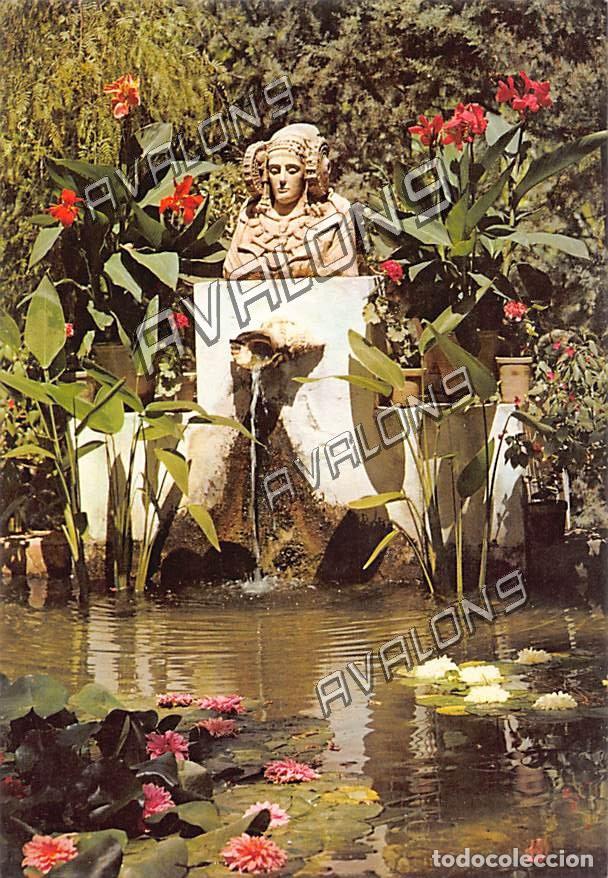 Postales: Huerto del Cura, la alberca de la Dama de Elche (Alicante) - Sin circular - 1974