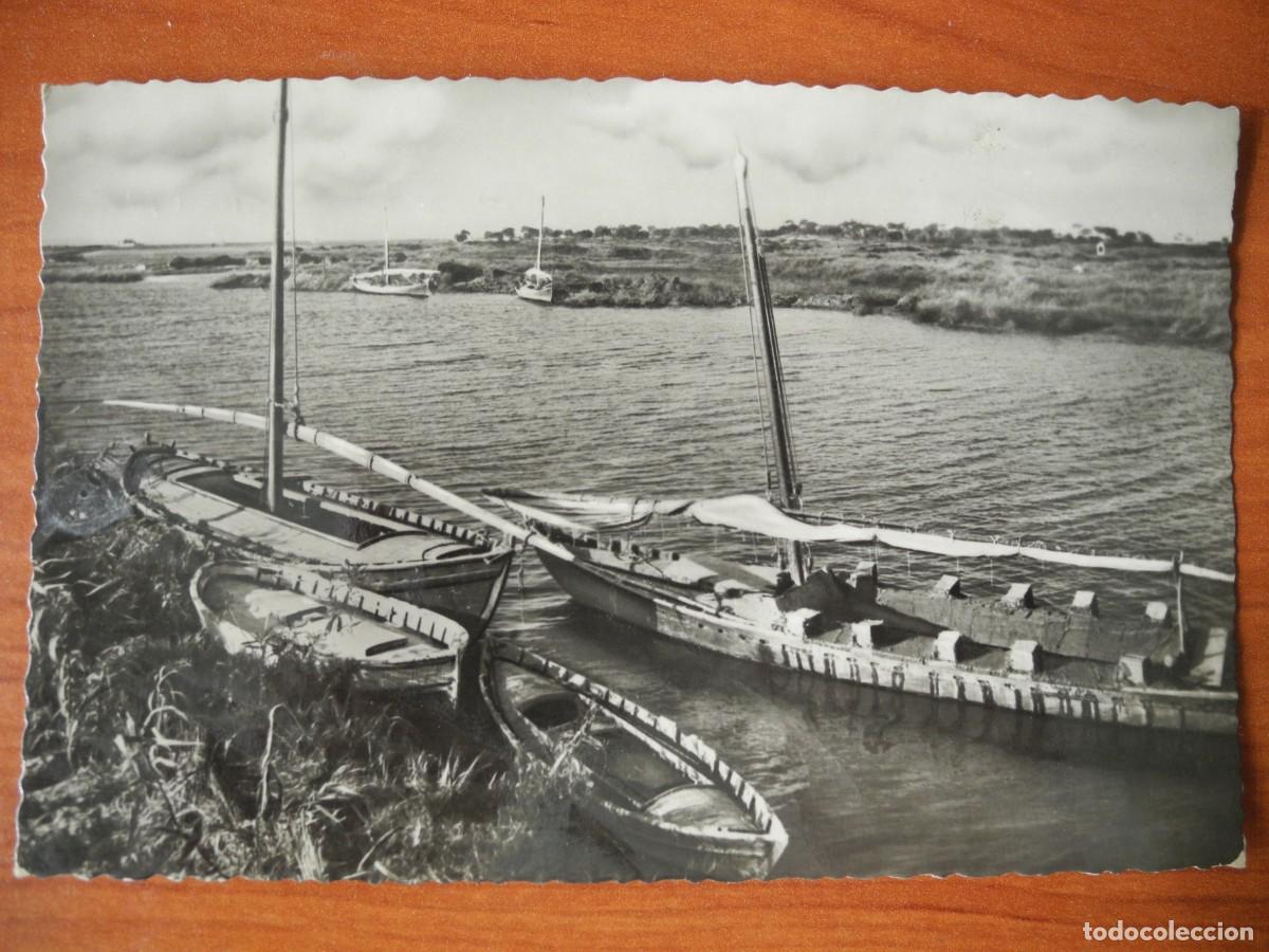 Postales: Valencia Canal de la Albufera Ed. JDP n. 142 Nueva