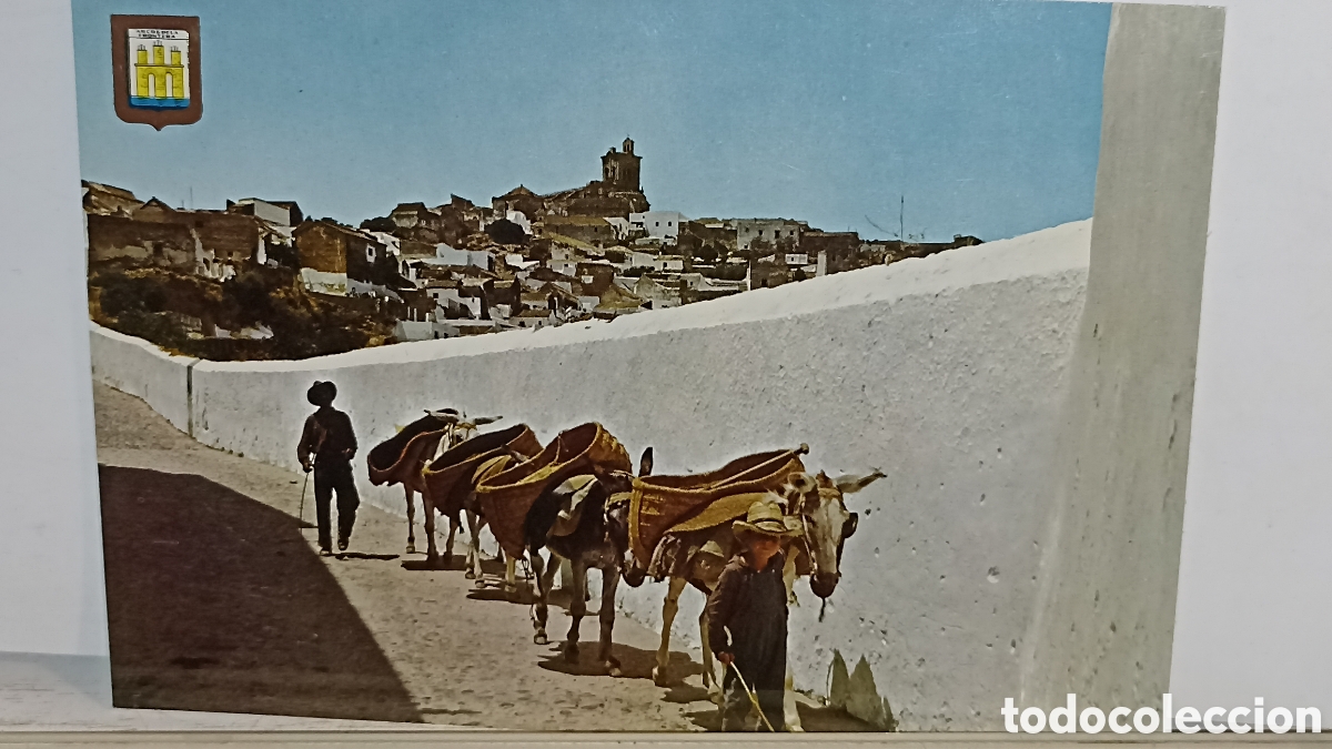 Postales: Mint arcos de la frontera vista parcial desde la calletas