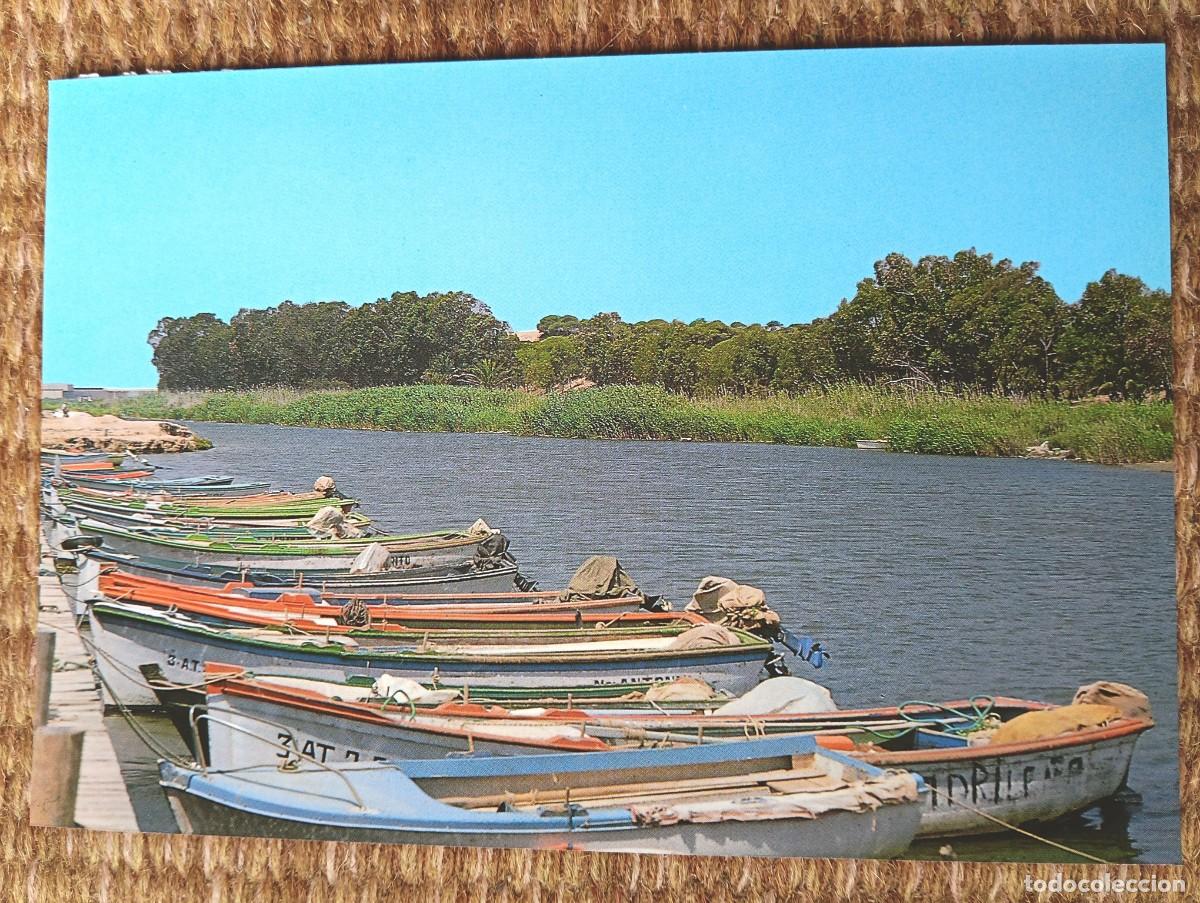 Postales: GUARDAMAR - ALICANTE - RIO SEGURA - ED. ARRIBAS
