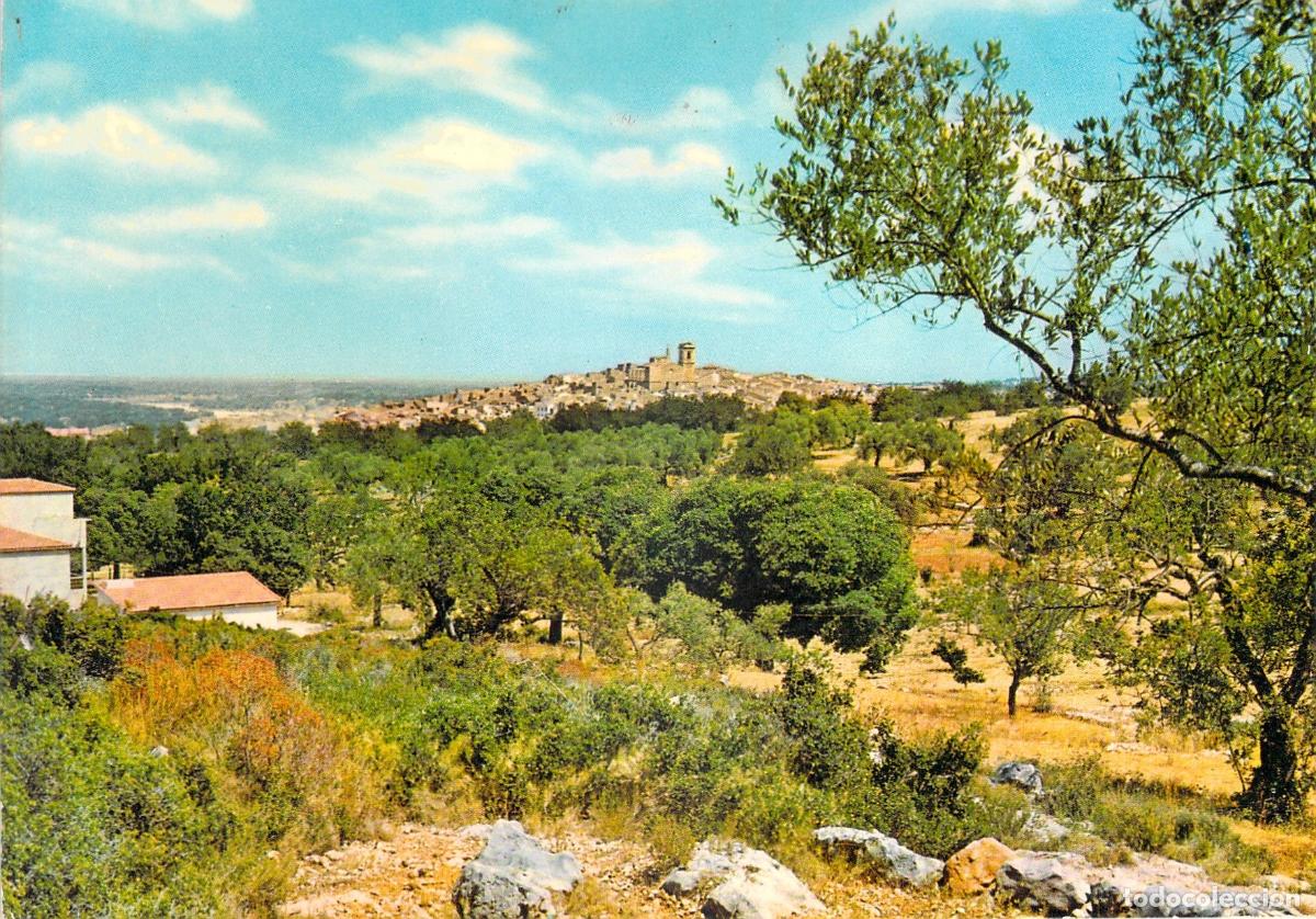 Postales: Postal de Calig Castell&oacute;n Vista General del Pueblo