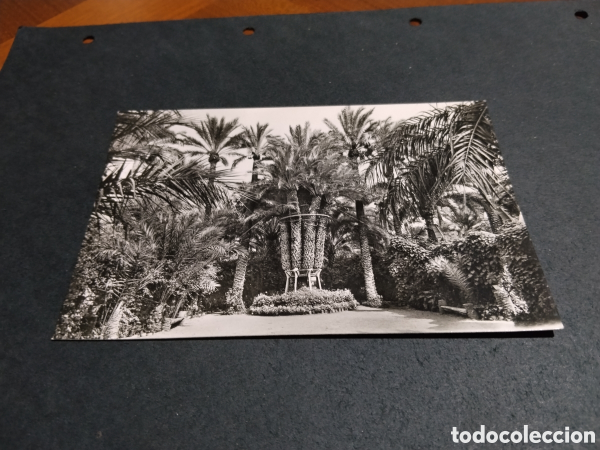 Postales: Postal Elche............