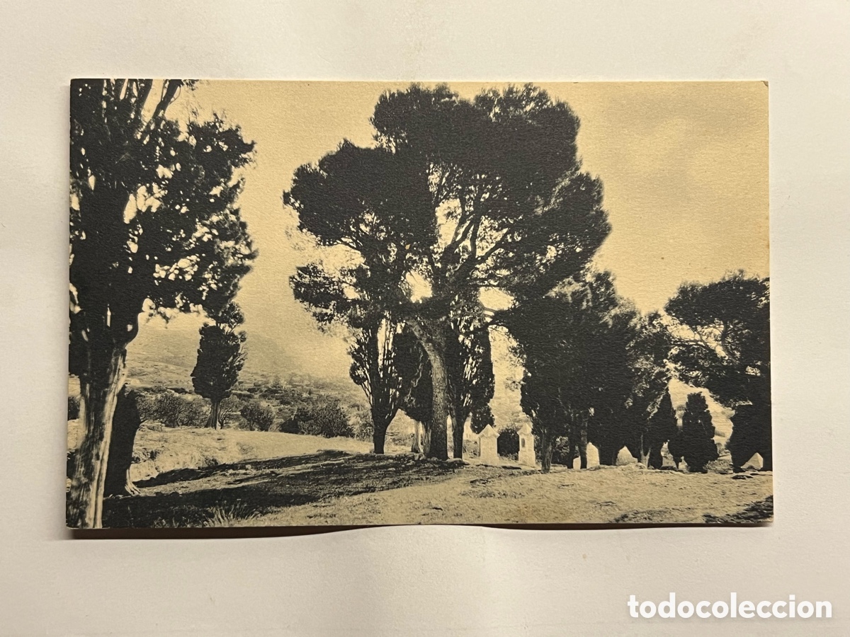 Postales: J&Aacute;VEA (Alicante) Postal No.11, Vista desde El Calvario. Hauser y Menet (h.1930?) S/C