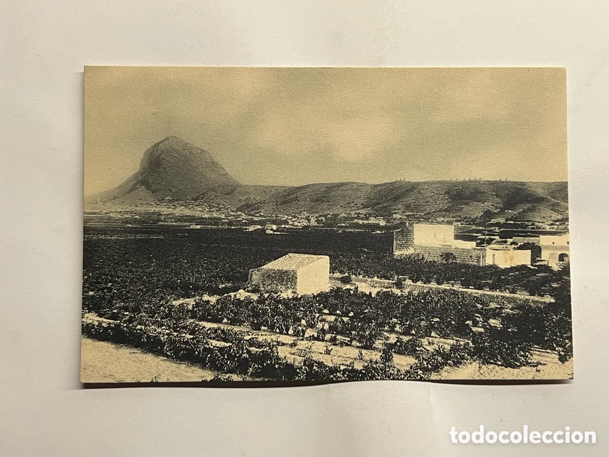 Postales: J&Aacute;VEA (Alicante) Postal No.19, Vista panor&aacute;mica con el Mong&oacute;. Hauser y Menet (h.1930?) S/C