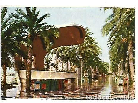Postales: EXPLANADA DE ESPA&Ntilde;A Y AUDITORIUM.- ALICANTE