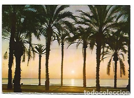 Postales: SALIDA SOL ( PLAYA DEL POSTIGUET ).- ALICANTE