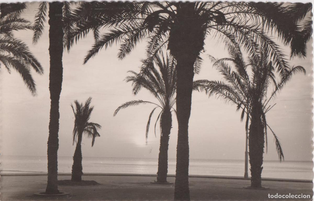 Postales: ALICANTE, SALIDA DE SOL - EDICIONES GARCIA GARRABELLA N&ordm;46 - CIRCULADA