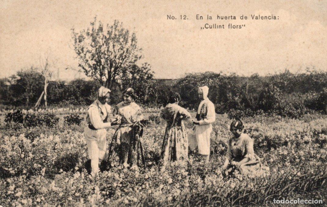 Postales: BONITA POSTAL - EN LA HUERTA DE VALENCIA - CULLINT FLORS - COLECCION E.BORT