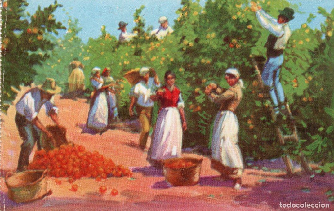 Postcards: BONITA POSTAL - VALENCIA - RECOLECCION DE NARANJA - C. RUANO LLOPIS