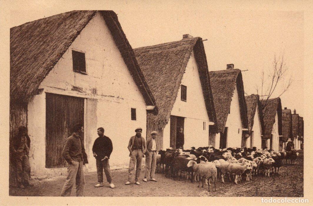 Postcards: BONITA POSTAL - VALENCIA - BARRACAS - L.ROISIN