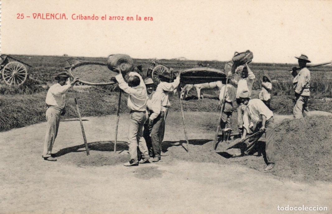 Postales: PRECIOSA POSTAL - VALENCIA - CRIBANDO EL ARROZ EN LA ERA - FOTOTIPIA THOMAS