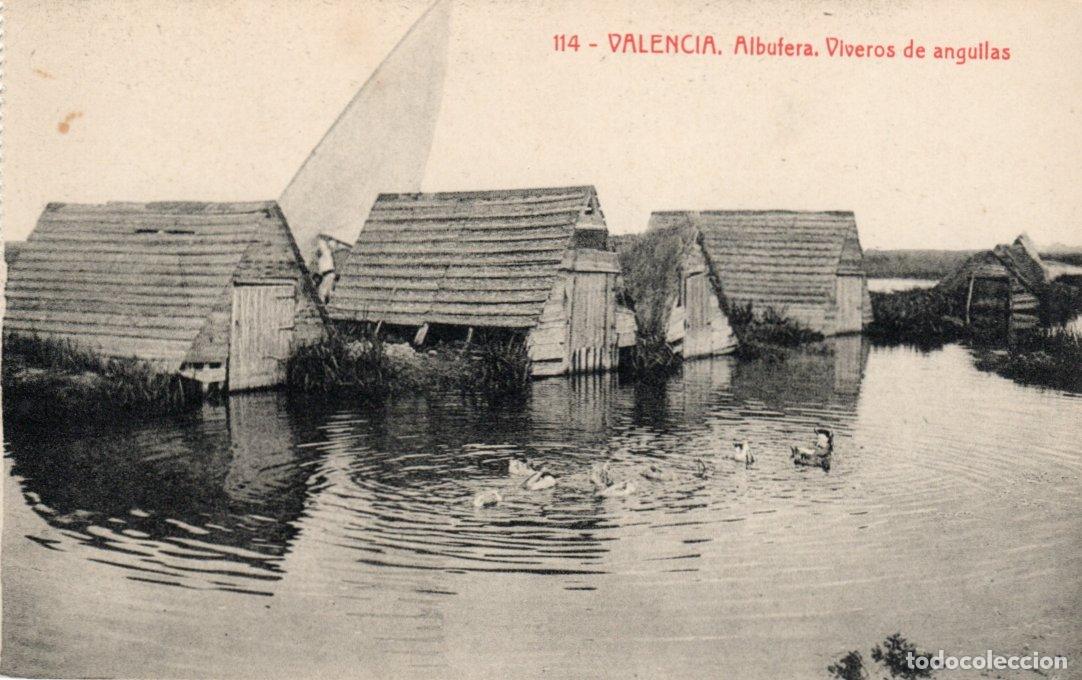 Cartes Postales: BONITA POSTAL - VALENCIA - ALBUFERA - VIVEROS DE ANGUILAS - FOTOTIPIA THOMAS