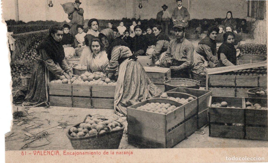 Cartes Postales: PRECIOSA POSTAL - VALENCIA - ENCAJONAMIENTO DE LA NARANJA - FOTOTIPIA THOMAS