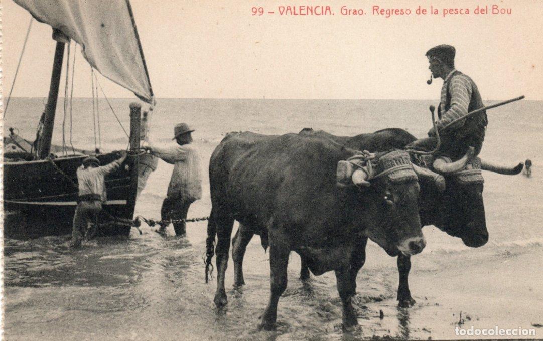 Postales: BONITA POSTAL - VALENCIA - GRAO - REGRESO DE LA PESCA DEL BOU - FOTOTIPIA THOMAS