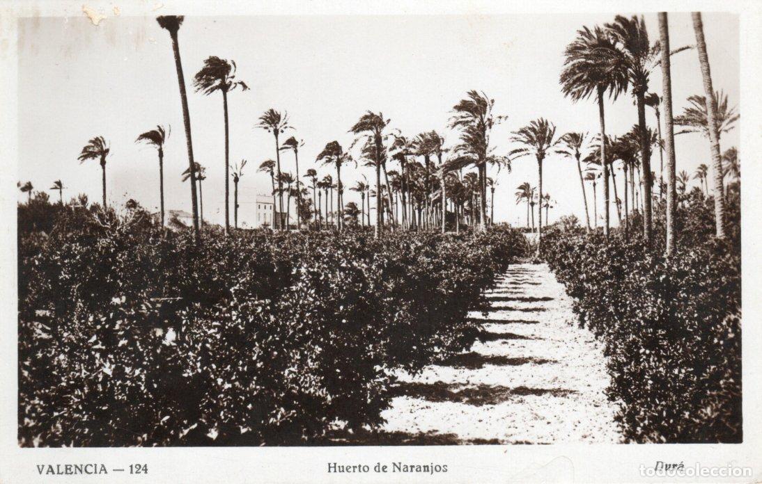 Cartoline: BONITA POSTAL - VALENCIA - HUERTO DE NARANJOS - DURA