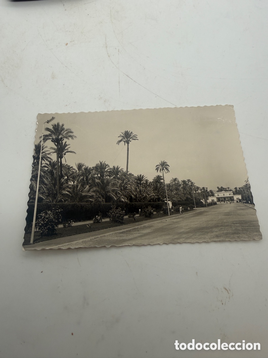 Postcards: Postal antigua de Elche, Alicante &ndash; Paseo de la Estaci&oacute;n &ndash; Garc&iacute;a Garrabella &ndash; Escrita en 1962