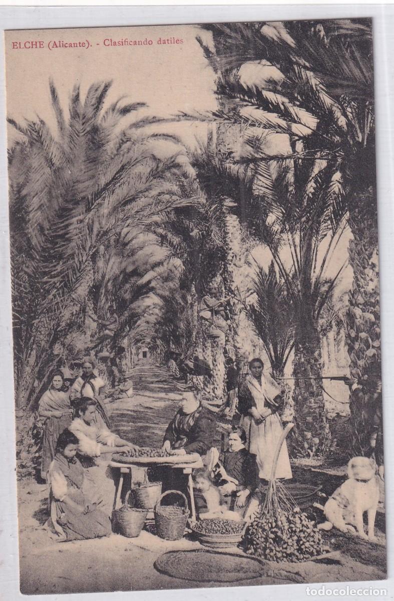 Postales: Elche Alicante. Clasificaci&oacute;n d&aacute;tiles. Edici&oacute;n Bazar Arca de Noe. Sin circular.