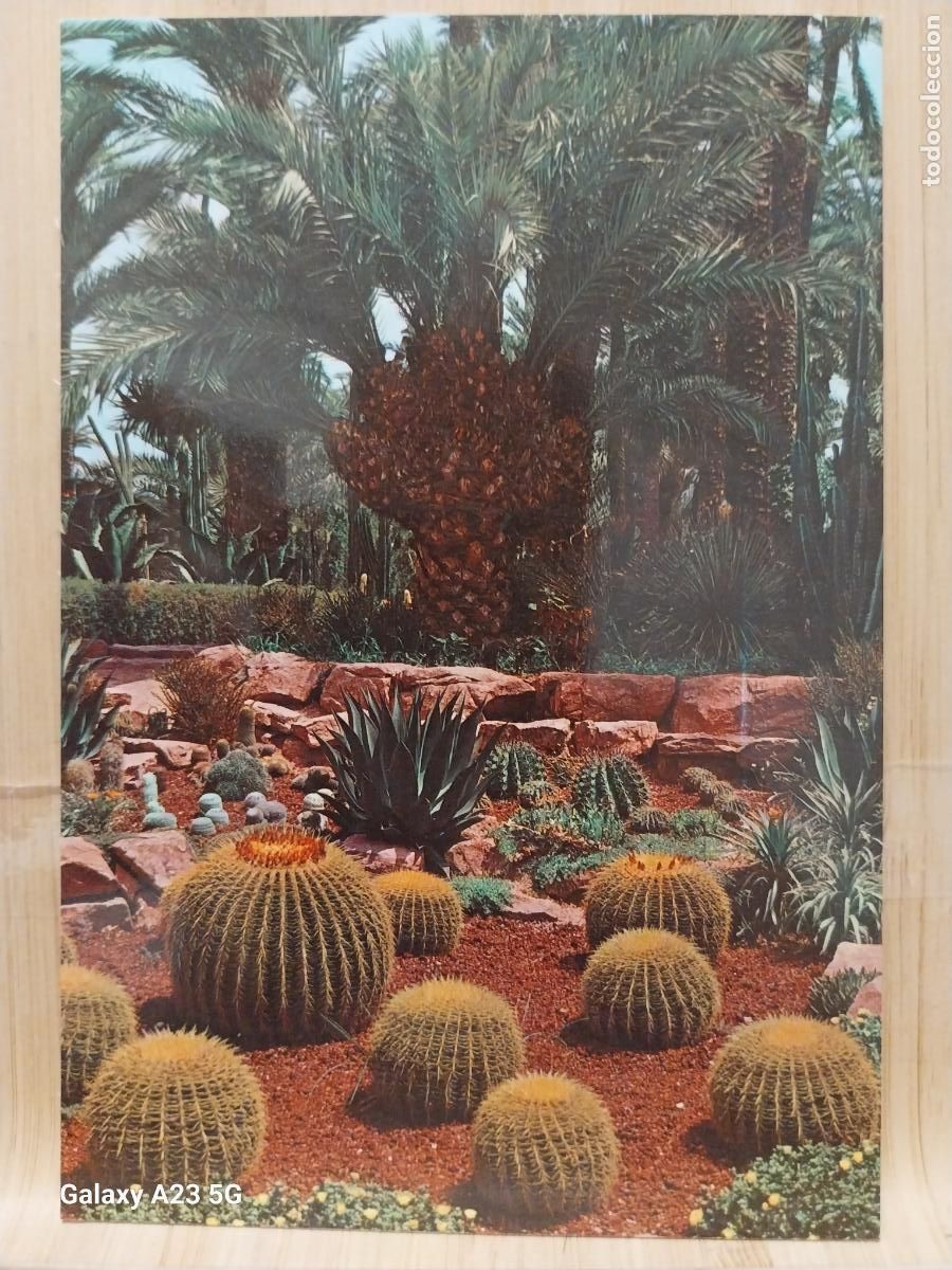 Cartes Postales: ELCHE HUERTO DEL CURA ED GARRABELLA 89 SC ORIGINAL