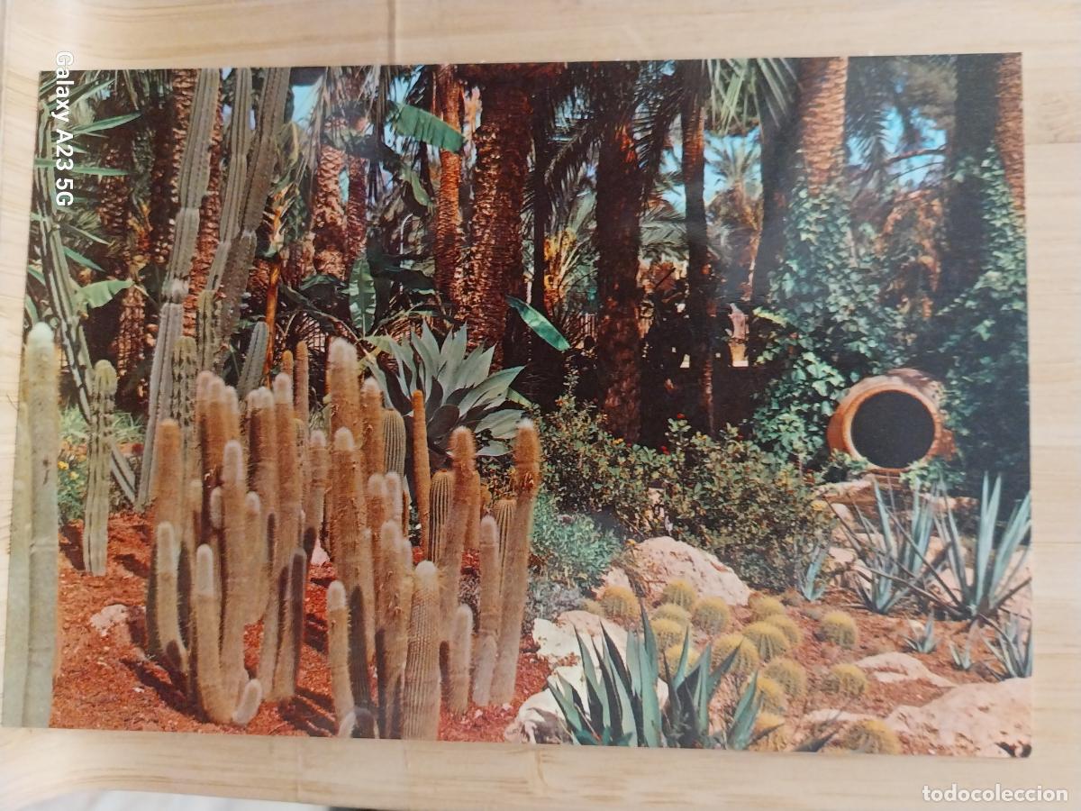 Cartes Postales: ELCHE HUERTO DEL CURA ED GARRABELLA 87 SC ORIGINAL