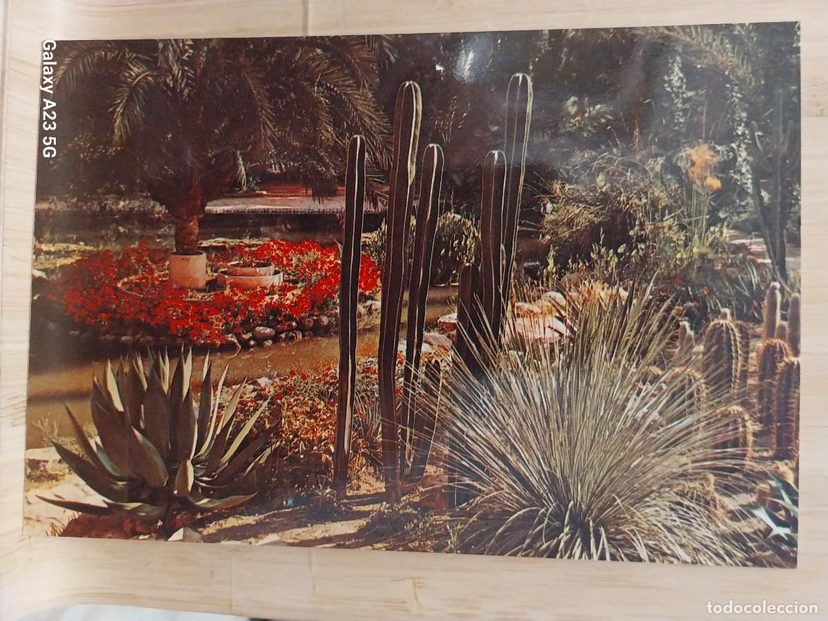 Cartes Postales: ELCHE HUERTO DEL CURA ED GARRABELLA 75SC ORIGINAL