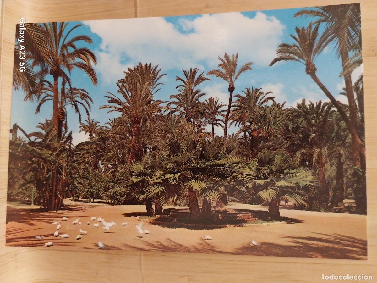 Cartes Postales: ELCHE HUERTO DEL CURA ED GARRABELLA 51 SC ORIGINAL +