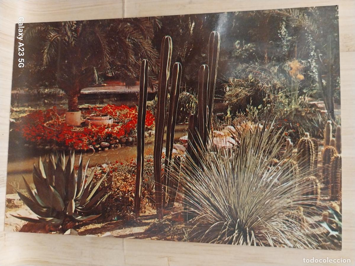 Cartes Postales: ELCHE HUERTO DEL CURA ED GARRABELLA 75 SC ORIGINAL +...... +