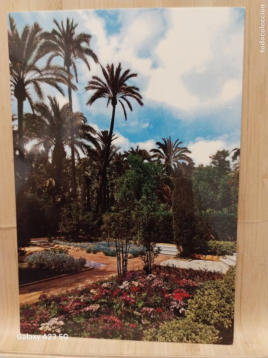Cartes Postales: ELCHE HUERTO DEL CURA ED GARRABELLA 34 SC ORIGINAL +...... +