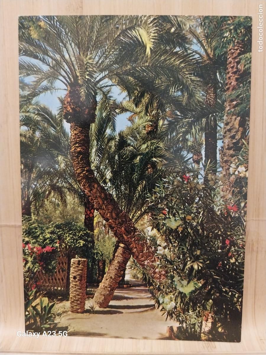 Cartes Postales: ELCHE HUERTO DEL CURA ED GARRABELLA 10 SC ORIGINAL +...... +
