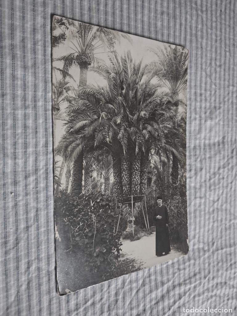 Cartoline: Postal antigua Elche. Palmeras y cura