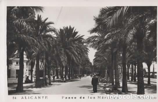 Postkarten: ALICANTE SIN ESCRIBIR PASEO DE LOS MARTIRES