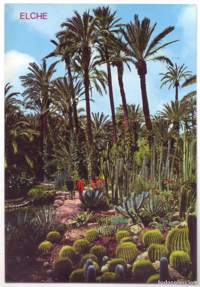 Postais: Elche (Alicante): Huerto del Cura. Rocalla. Ediciones Arribas. Circulada (A&ntilde;os 70)