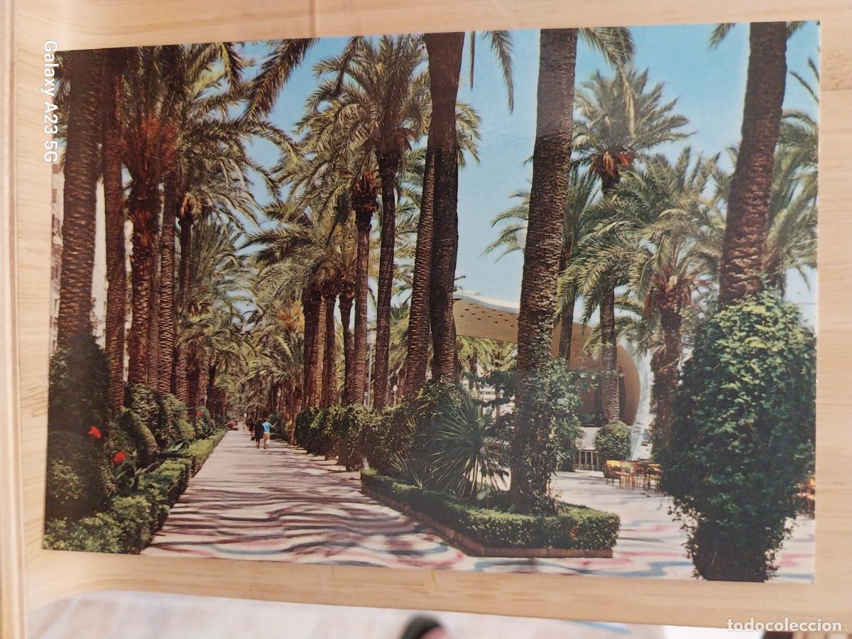 Postales: ALICANTE EXPLANADA ESPA&Ntilde;A ED PAPISA 2017 SC ORIGINAL