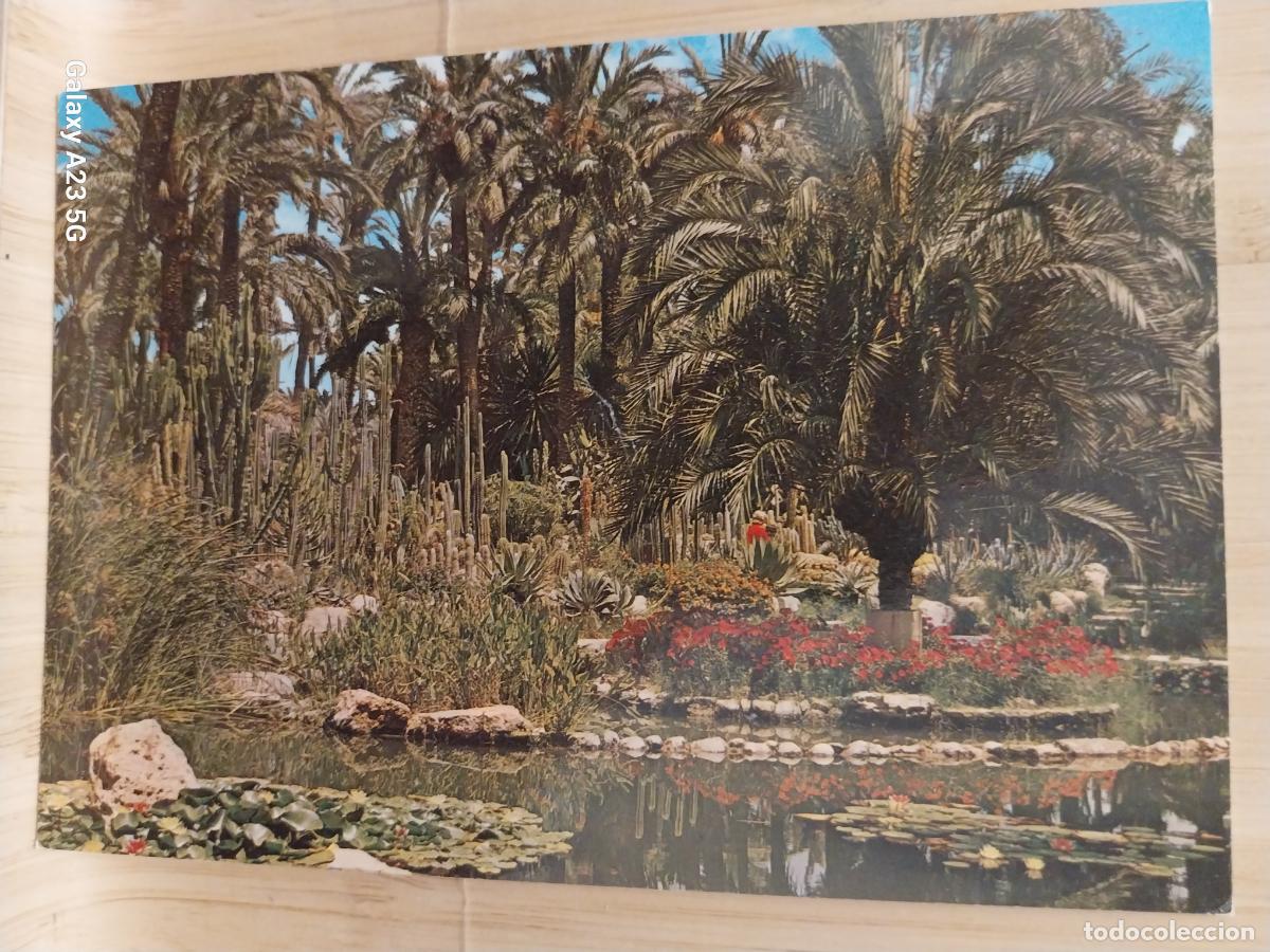 Cartoline: ELCHE HUERTO DEL CURA LAGO DE LA ROCALLA ED GARRABELLA 74 SC ORIGINAL