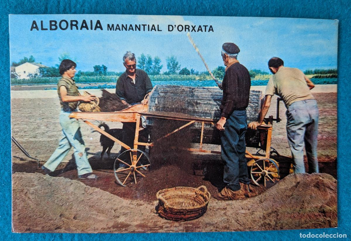 Postales: RW POSTAL ALBORAYA VALENCIA MANANTIAL DE HORCHATA RECOGIDA DE CHUFAS P1885