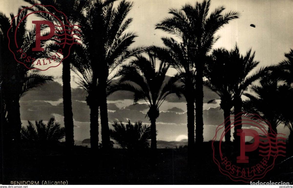 Postales: ALICANTE. BENIDORM. PANORAMA.