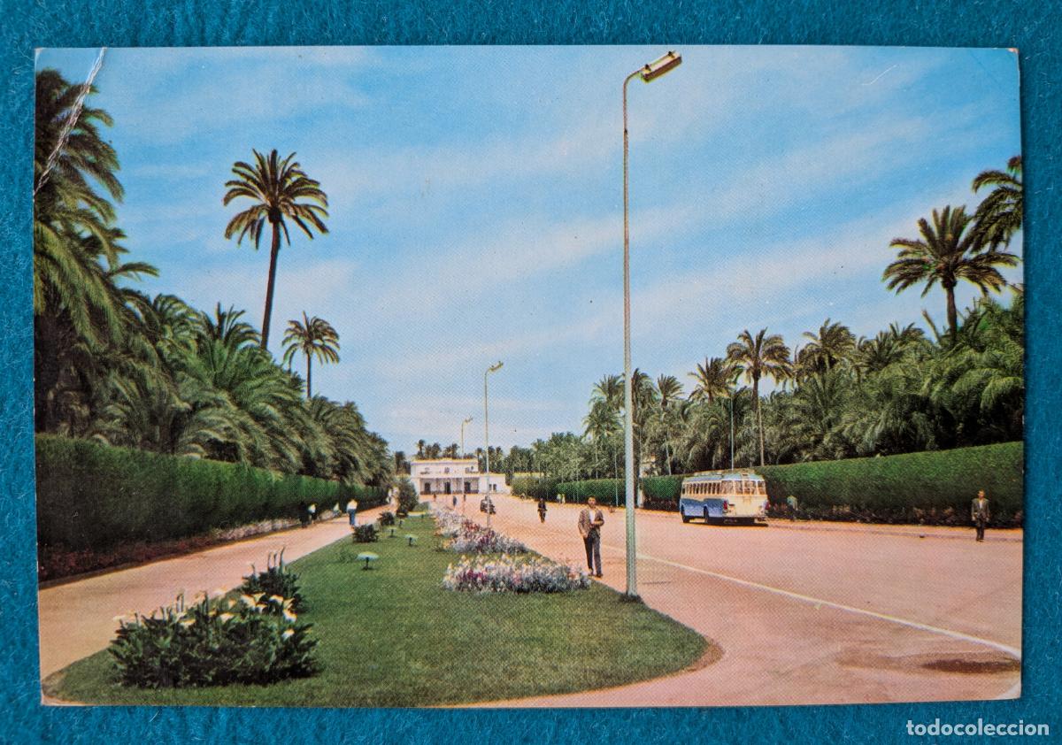 Postales: RW POSTAL ELCHE ALICANTE AVDA DE LA ESTACION P1951