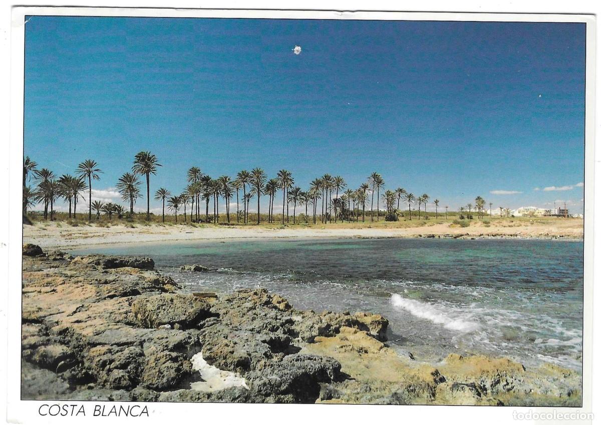Postales: Postal Torrevieja. Alicante. Costa Blanca. ref. 7-alicante66