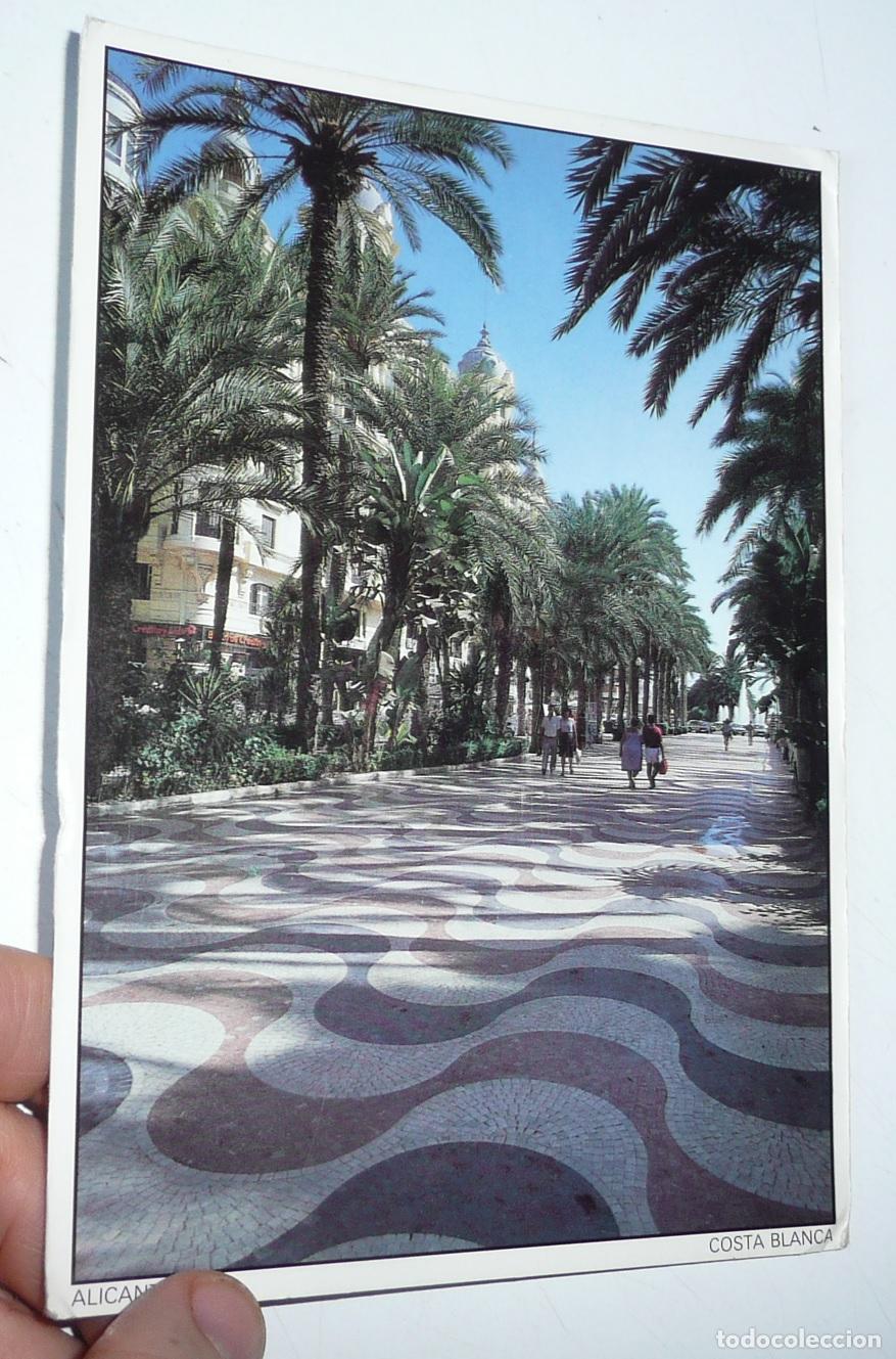 Postales: Postal Costa Blanca Alicante. La Explanada (Murillo y Prado AG-21). Circulada en 1988.