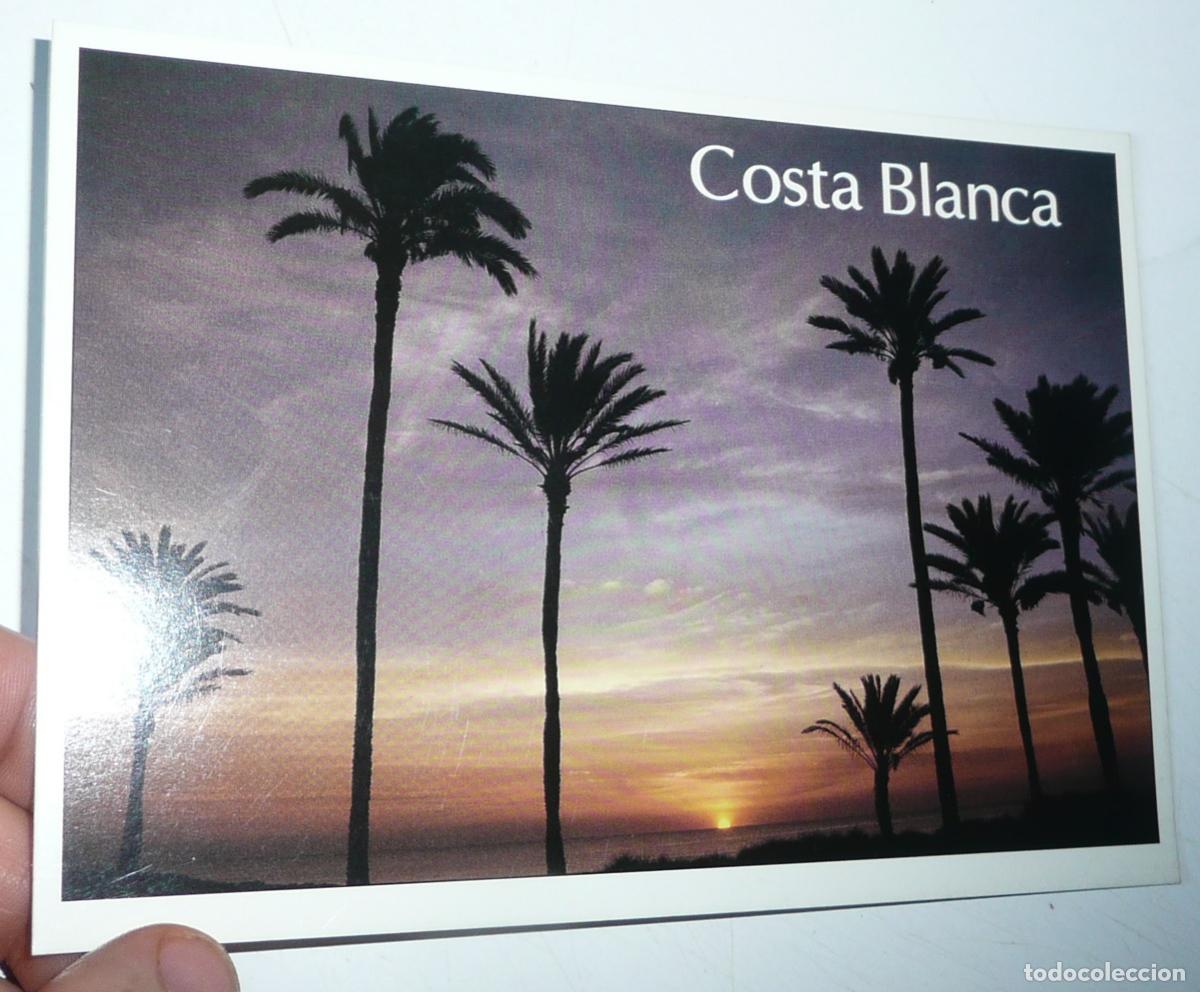 Postales: Postal Costa Blanca Torrevieja. N&ordm; 190. Sin circular.