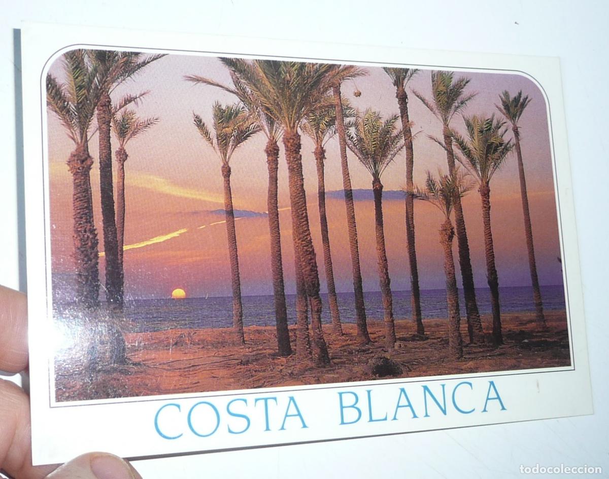 Postales: Postal Costa Blanca Torrevieja AR-38. Sin circular.