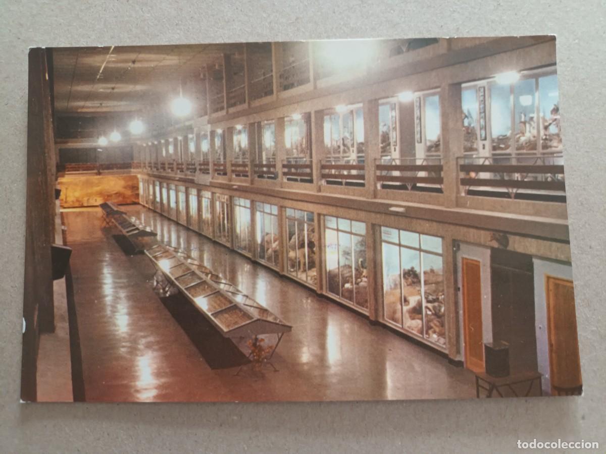 Postales: ONDA (CASTELLON DE LA PLANA). &rdquo;EL CARMEN&rdquo;. MUSEO DE CIENCIAS NATURALES (1969)