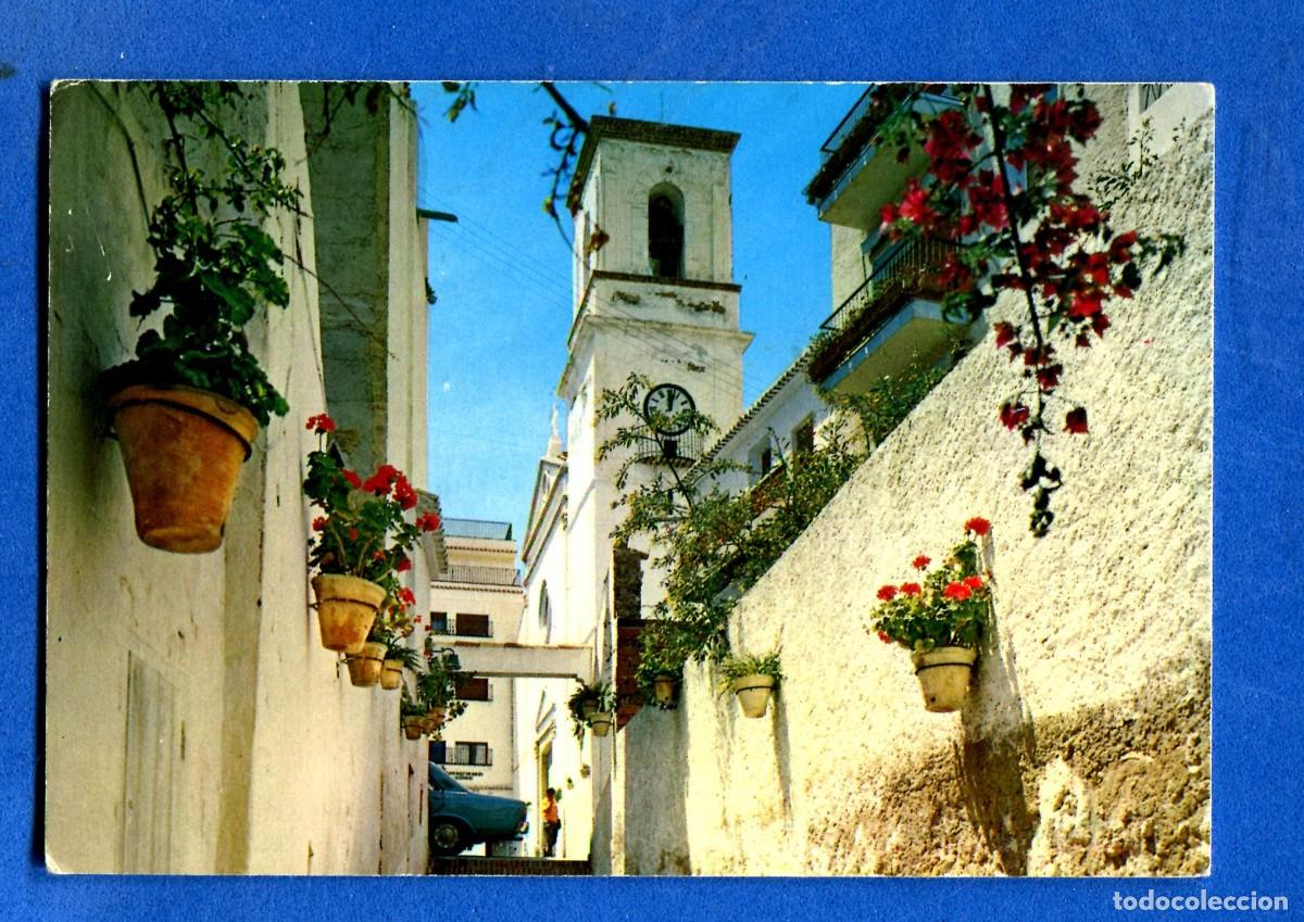 Postales: POSTAL SIN CIRCULAR BENIDORM SERIE 104 N&ordm;8 ALICANTE EDITA ZERKOWITZ