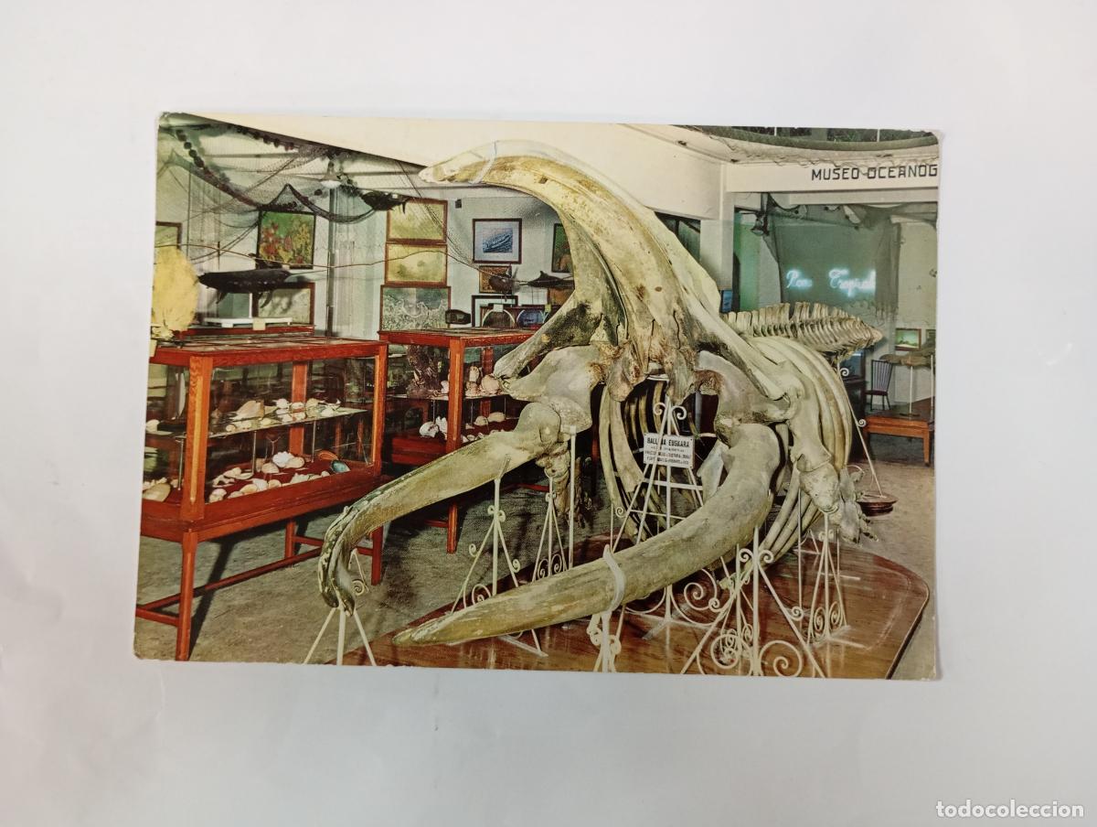Postales: POSTAL DE SAN SEBASTI&Aacute;N. AQUARIUM. TDKP30J