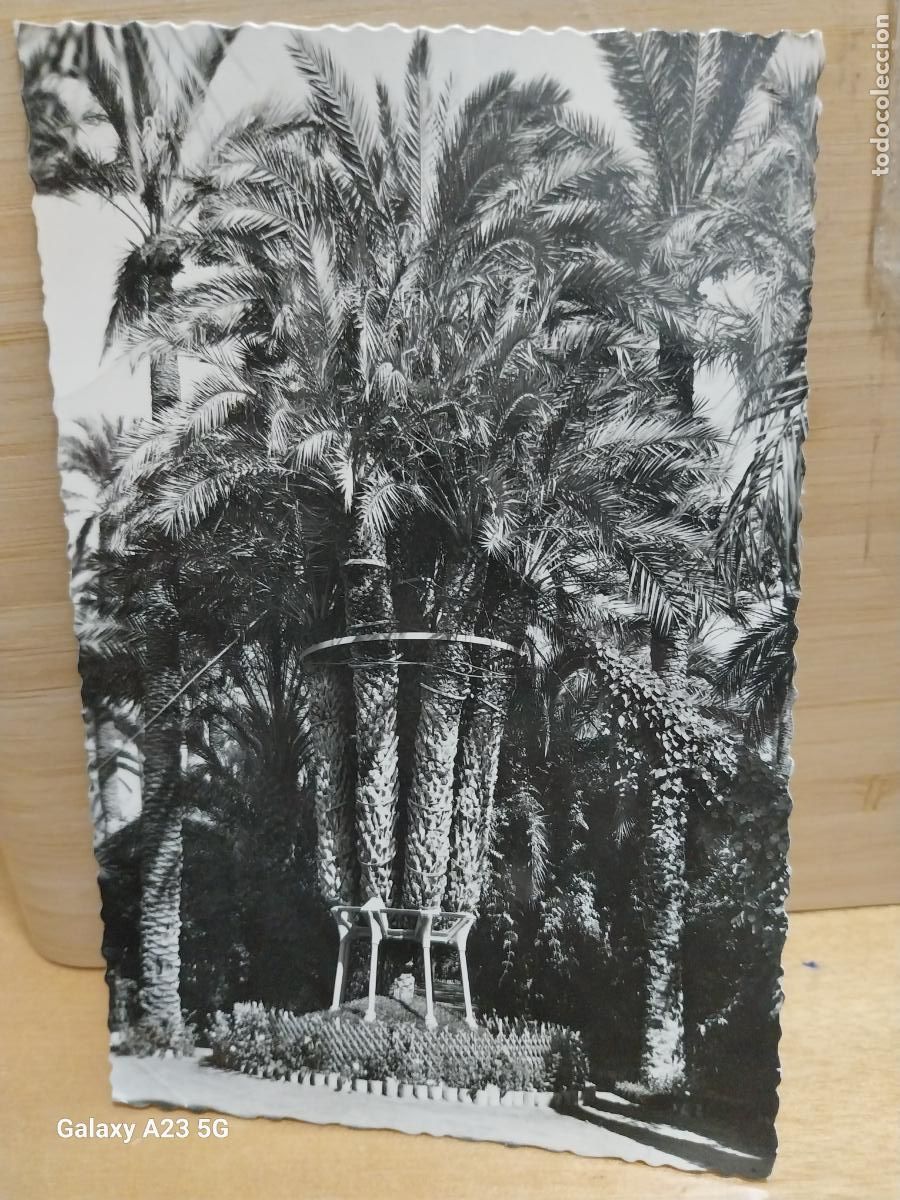 Postales: HUERTO DEL CURA ELCHE PALMERA IMPERIAL ED GARRABELLA 25 CIRCULADA A&Ntilde;O 1962
