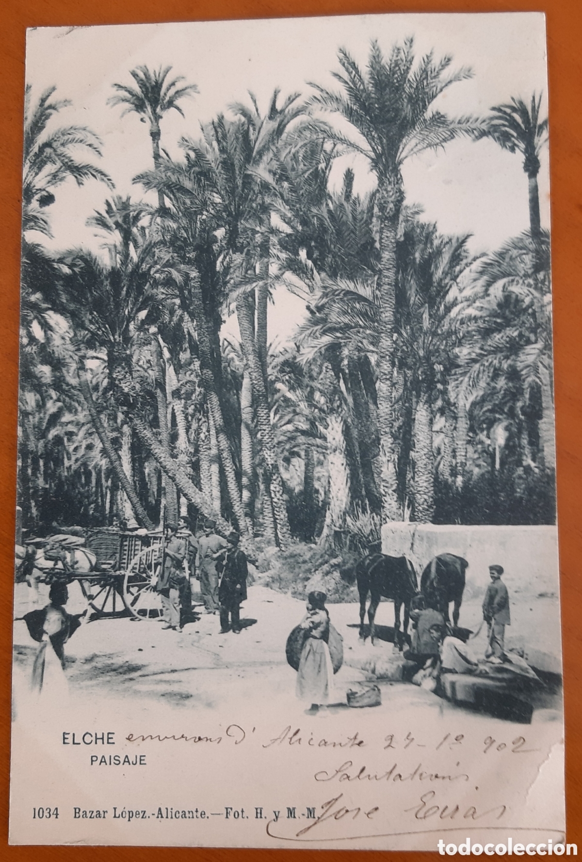 Postales: Postal Elche Alicante. Paisaje. Escrita y circulada. R17A